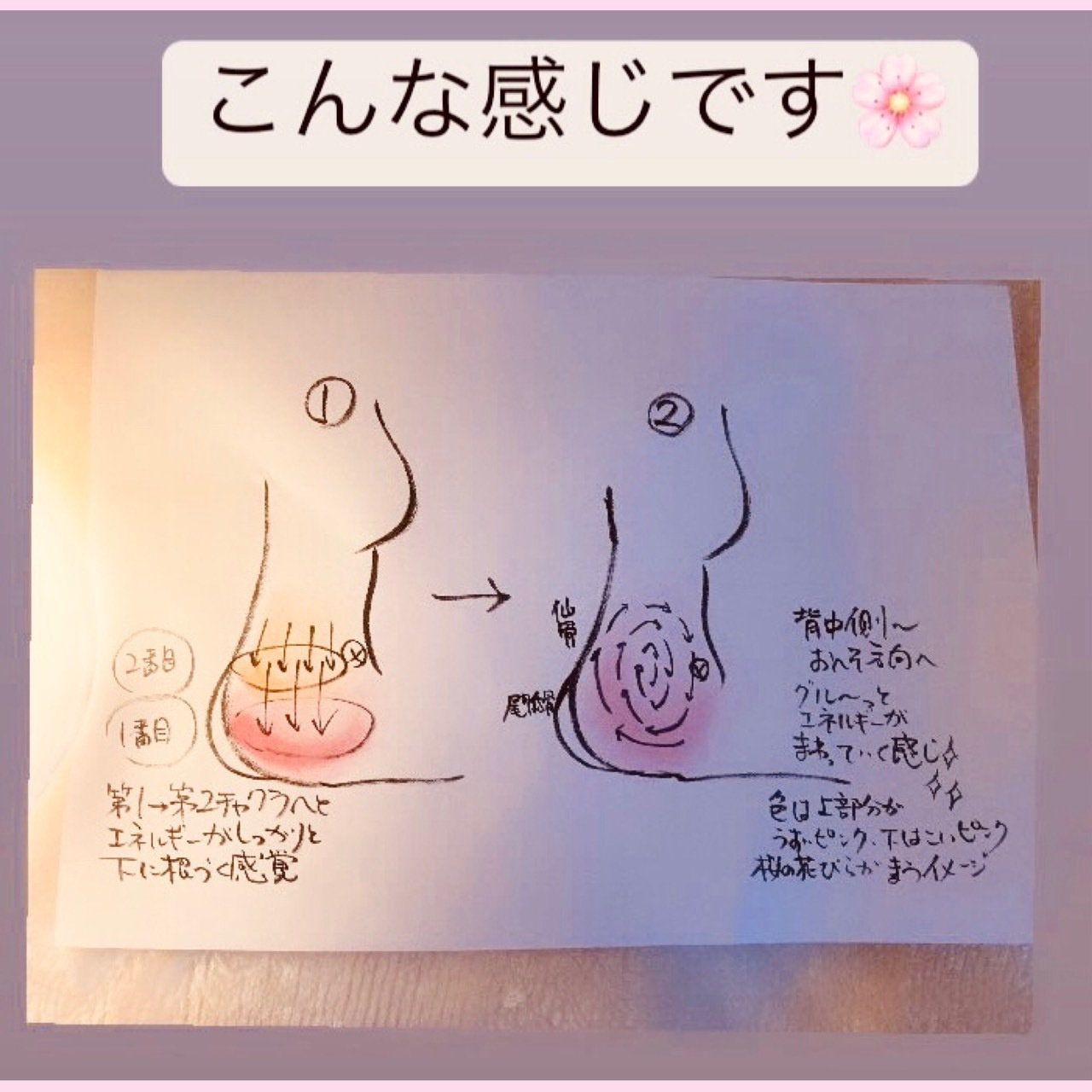s__22011910.jpg